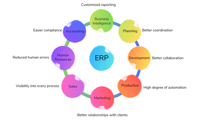 business enterprise software terbaru